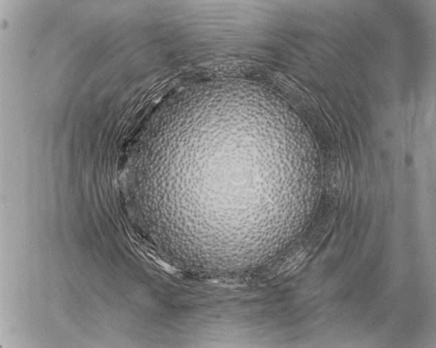 X0000059821010200511111647