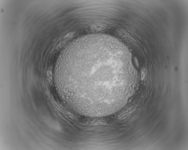 X0000059821011200511111647