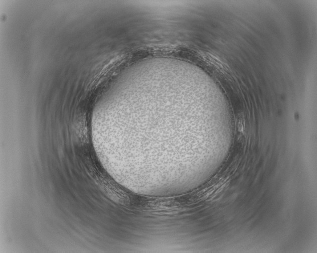 X0000059821252200511111644