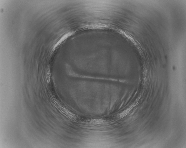X0000059821306200511111642