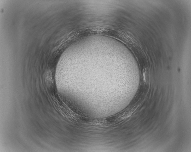X0000059821347200511111642
