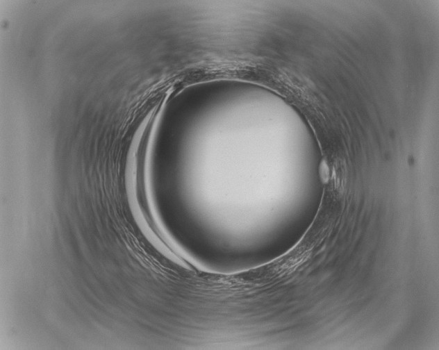 X0000059821348200511111642