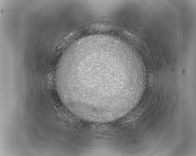 X0000059821397200511111641