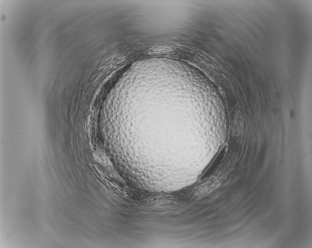 X0000059821441200511111641