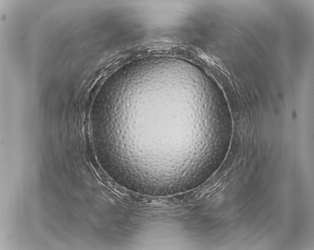 X0000059821445200511111641