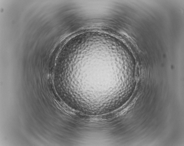 X0000059821449200511111640