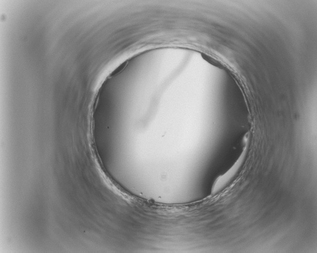 X0000059821528200511111640