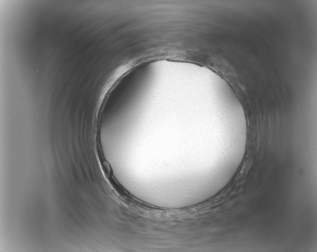 X0000059820003200511181619