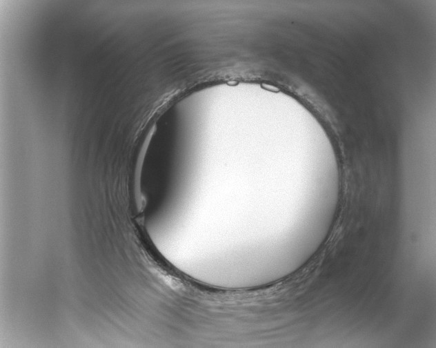 X0000059820009200511181619