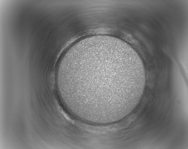 X0000059820012200511181619