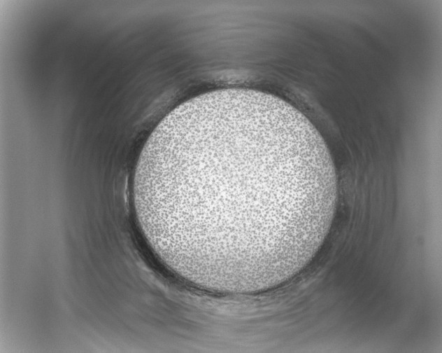 X0000059820024200511181619