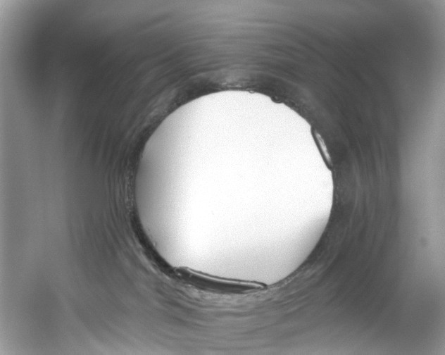 X0000059820044200511181619