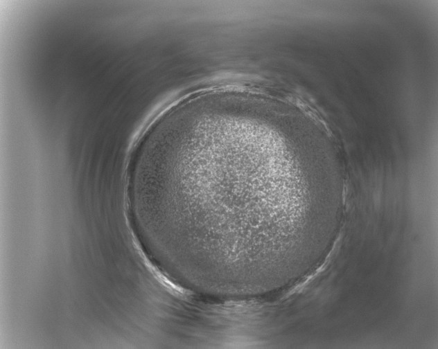 X0000059820101200511181618