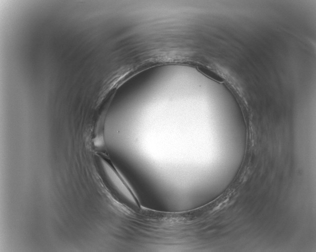 X0000059820105200511181618