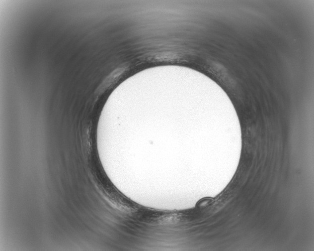 X0000059820116200511181617