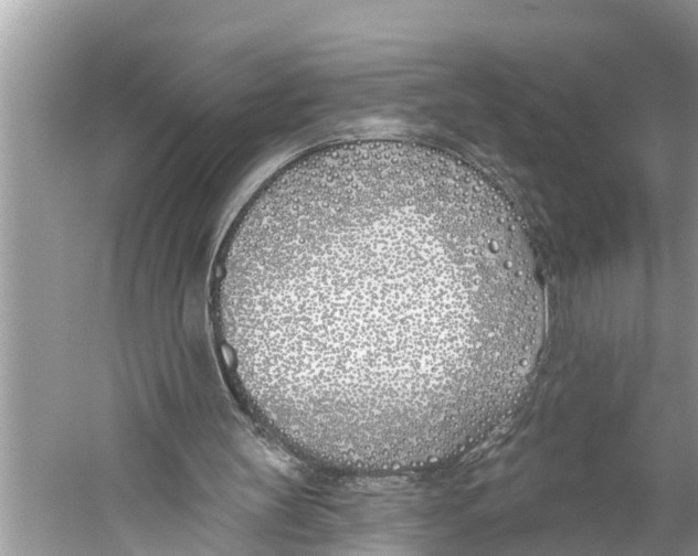 X0000059820147200511181616