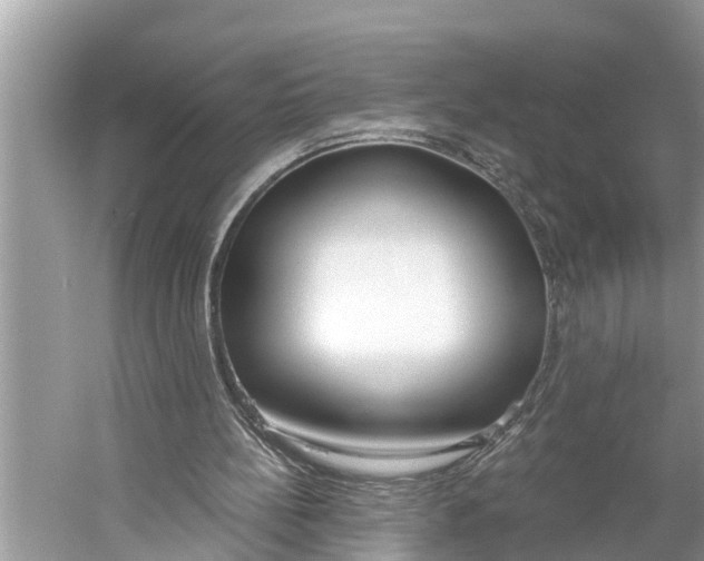 X0000059820148200511181616