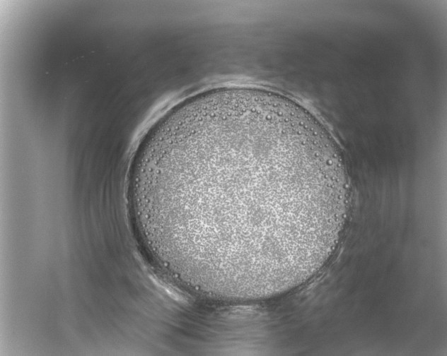 X0000059820151200511181616