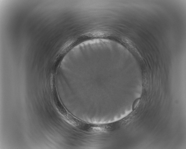 X0000059820167200511181616