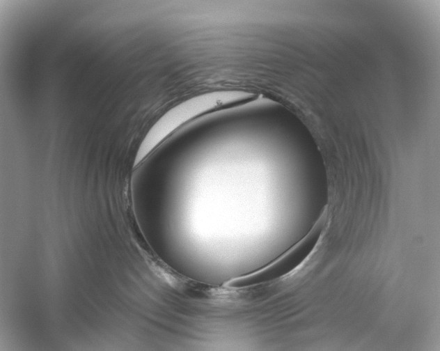 X0000059820192200511181617