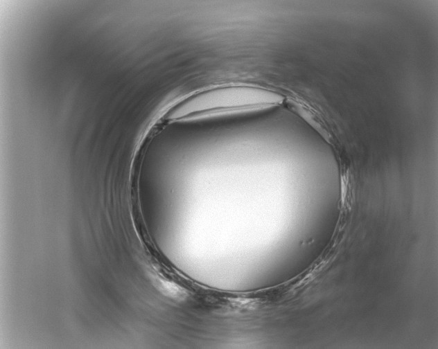X0000059820195200511181616