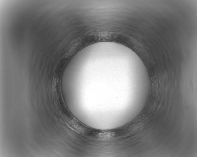 X0000059820225200511181616