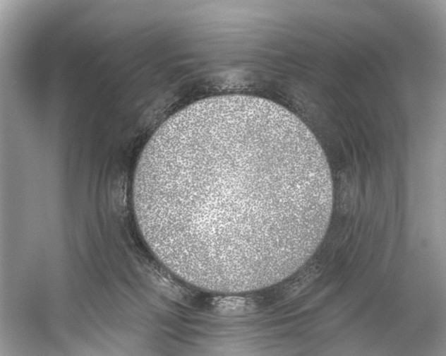 X0000059820230200511181615