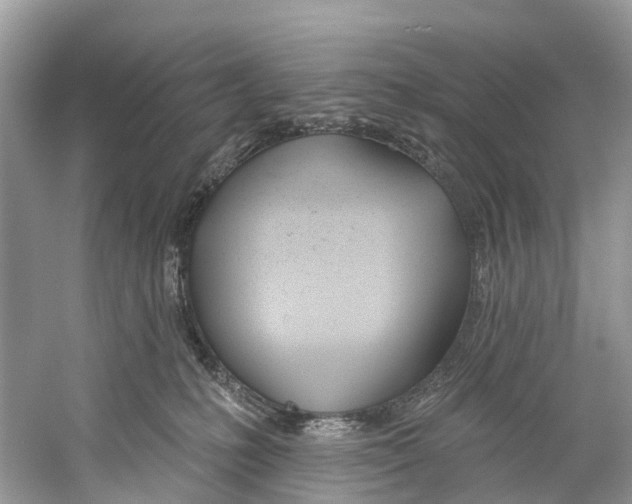 X0000059820231200511181615