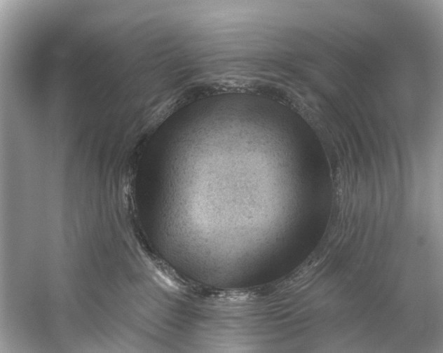 X0000059820235200511181615