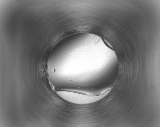 X0000059820237200511181615
