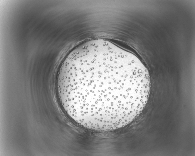 X0000059820241200511181614
