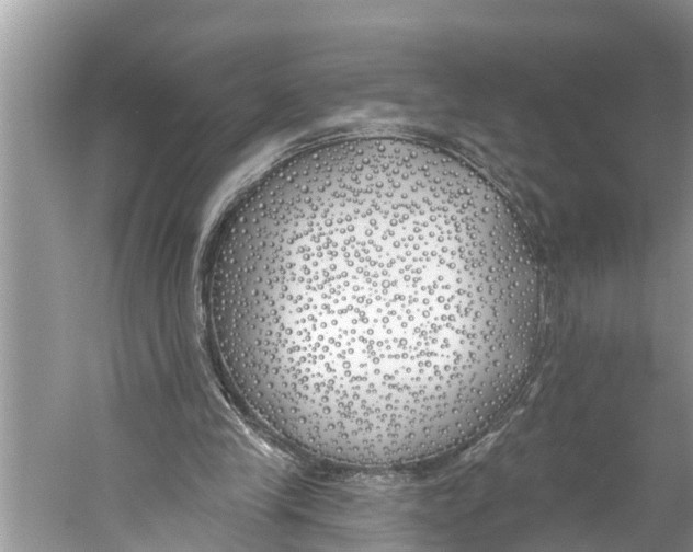 X0000059820245200511181614