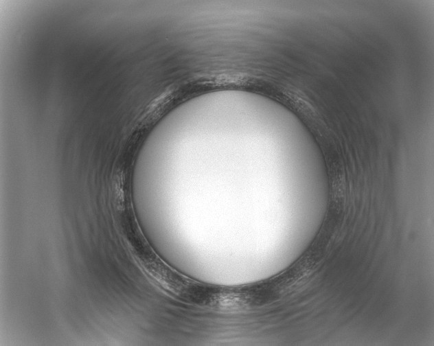 X0000059820264200511181615