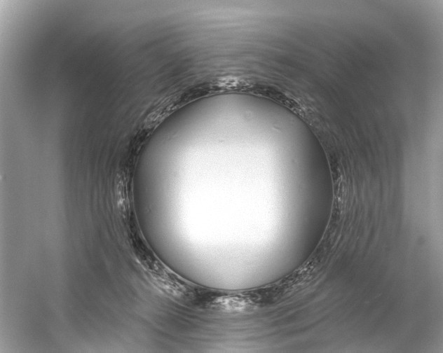 X0000059820272200511181615