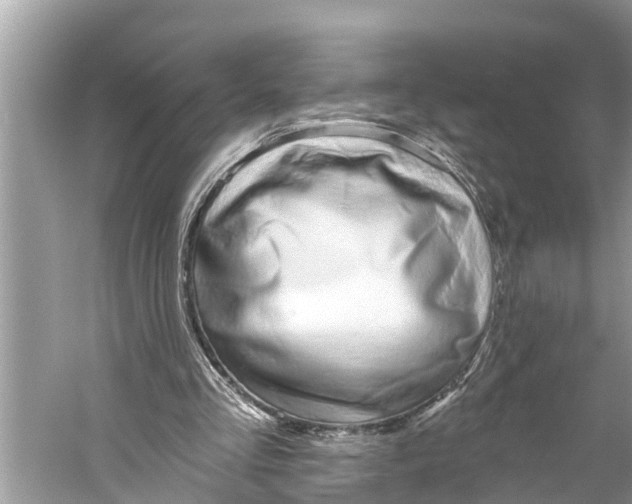 X0000059820293200511181614
