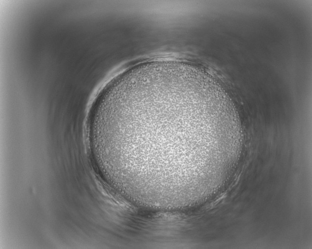X0000059820343200511181613