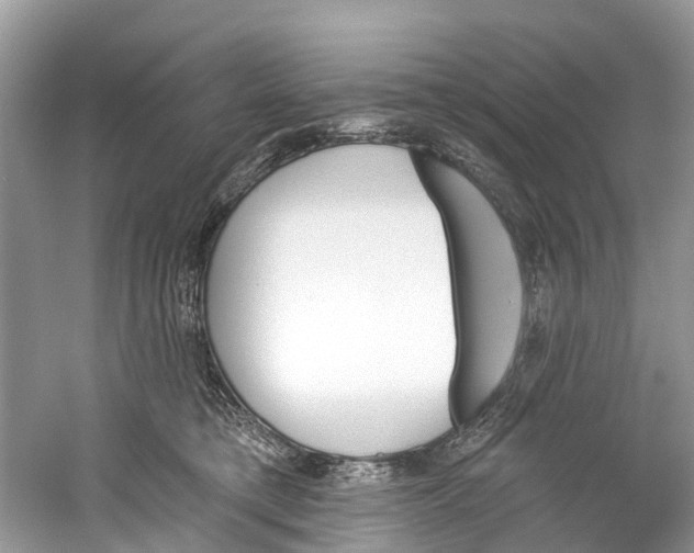 X0000059820421200511181612