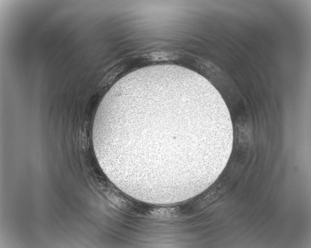 X0000059820422200511181612