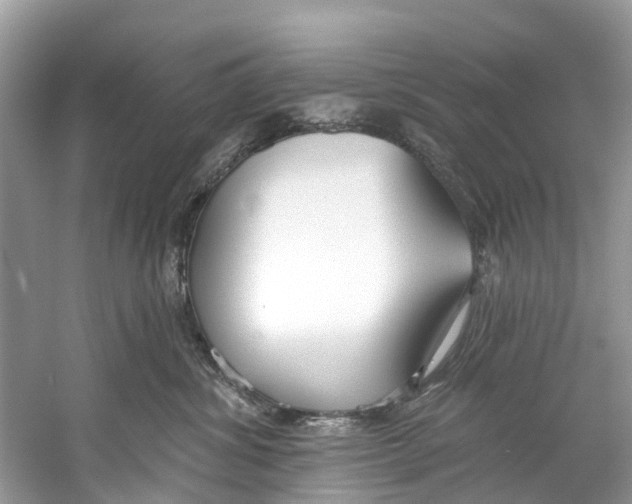 X0000059820428200511181612