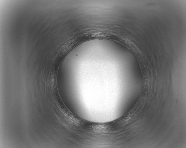 X0000059820513200511181611