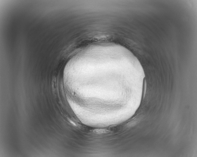 X0000059820528200511181610