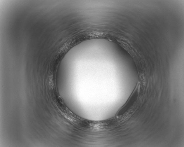 X0000059820564200511181610
