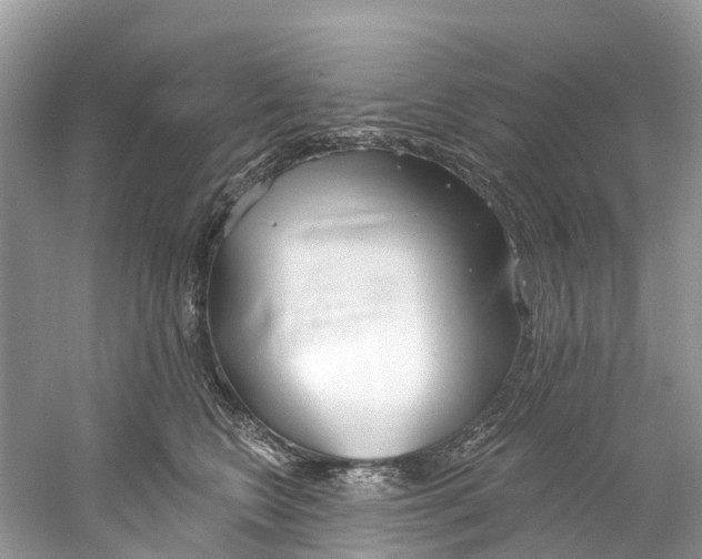 X0000059820566200511181610