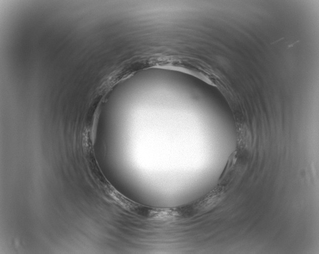 X0000059820621200511181609