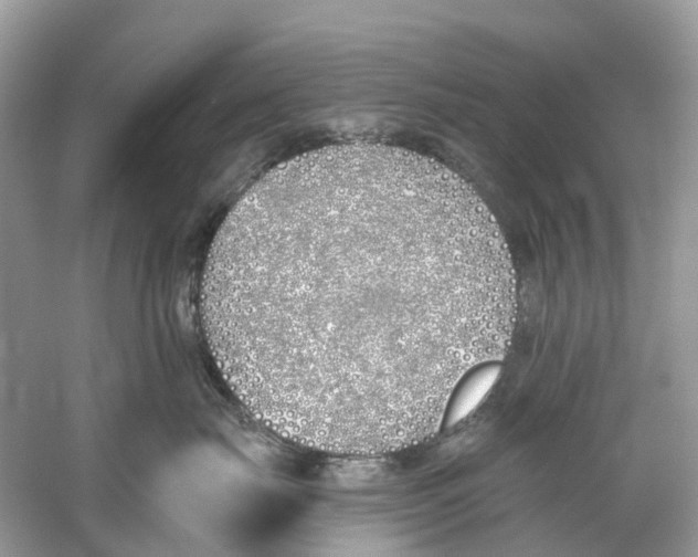 X0000059820671200511181609