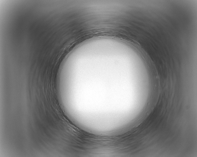 X0000059820701200511181607