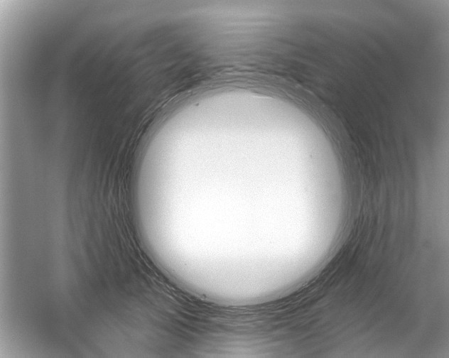 X0000059820705200511181607
