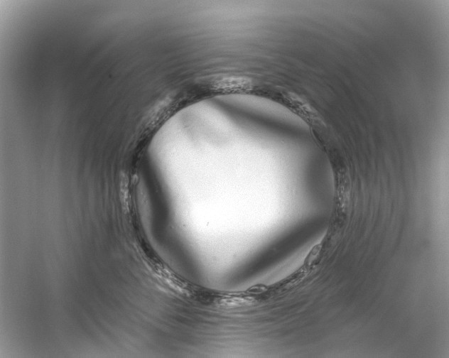 X0000059820716200511181607