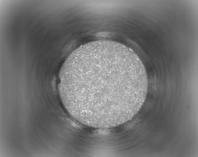 X0000059820765200511181607
