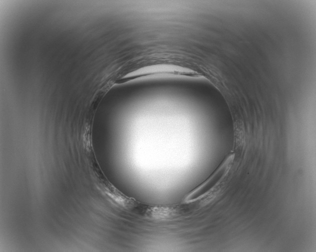 X0000059820766200511181607